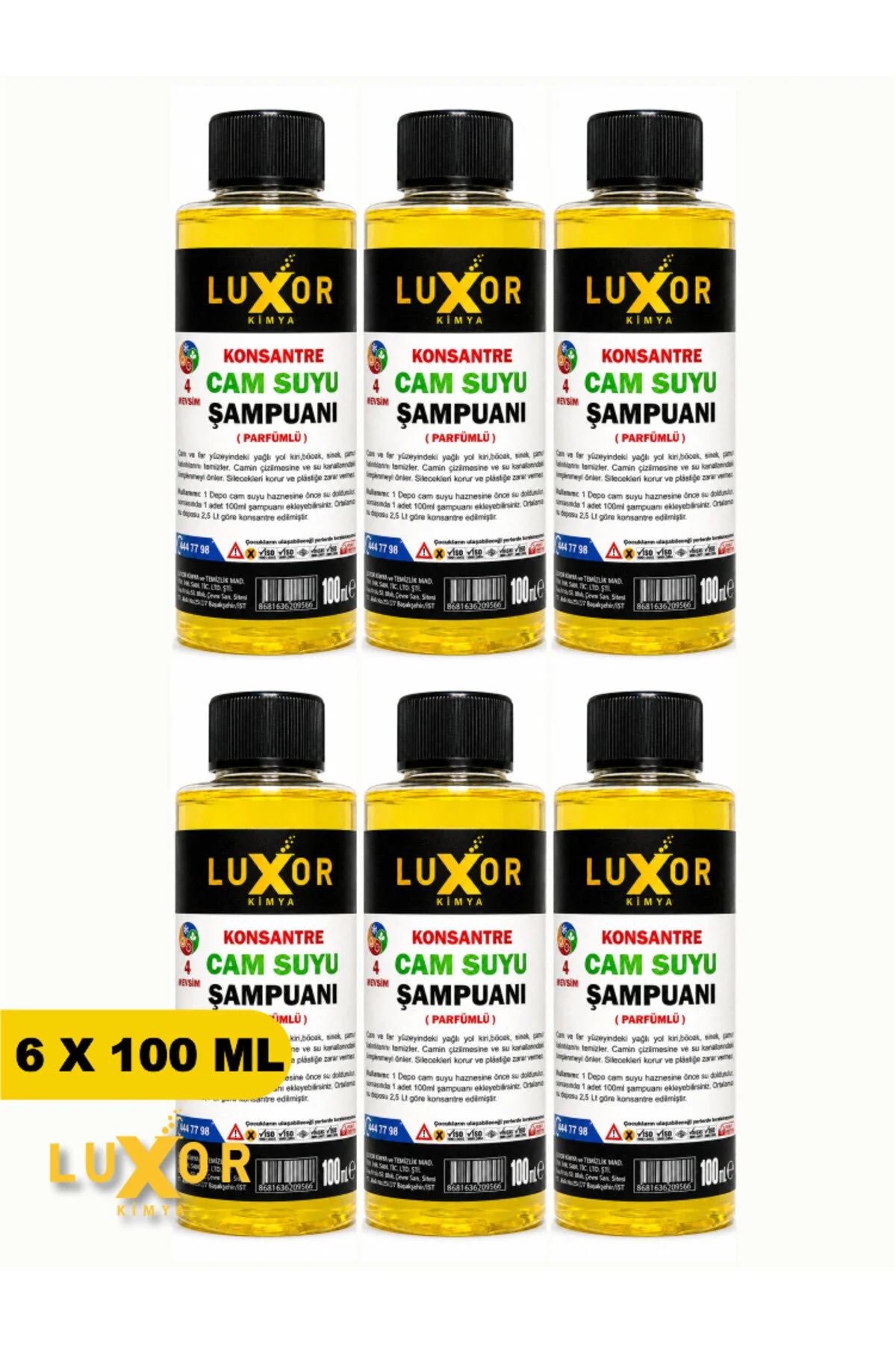 Konsantre Oto Cam Suyu Şampuanı 100ml 6 Adet